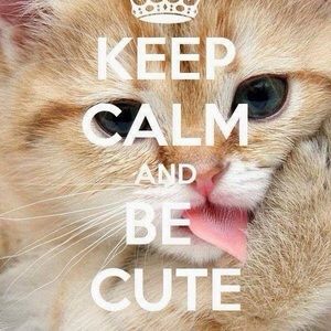 Meet your Posher, Harmony